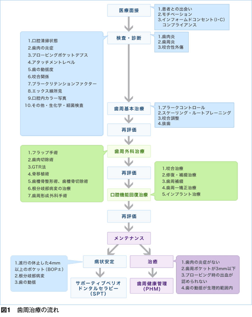 歯周病治療の全体の流れ